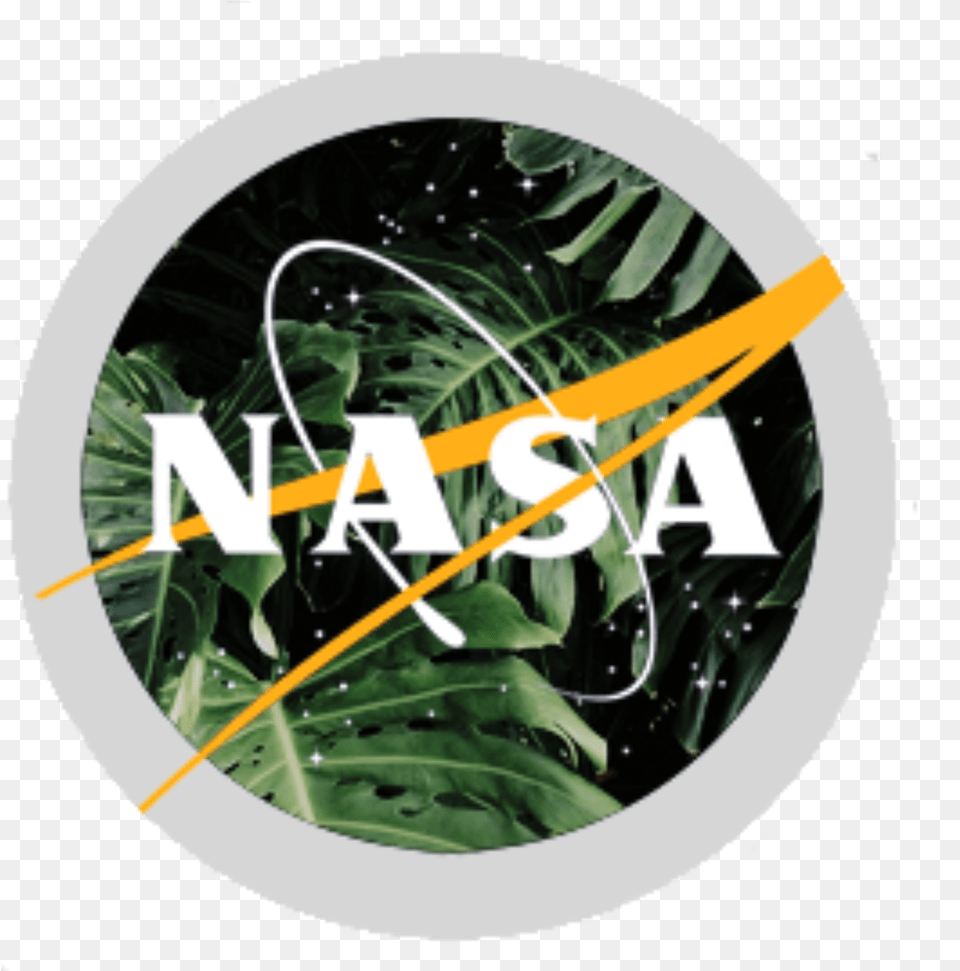 Download Aesthetic Nasa Logo Black And White Nasa Logo, Green, Leaf, Plant, Vegetation Free Png