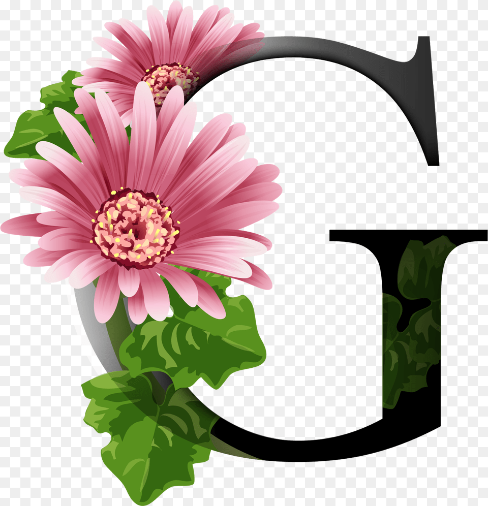 Download Alfabeto Decorativo Flores Dignity Of People, Anther, Petal, Plant, Flower Png Image