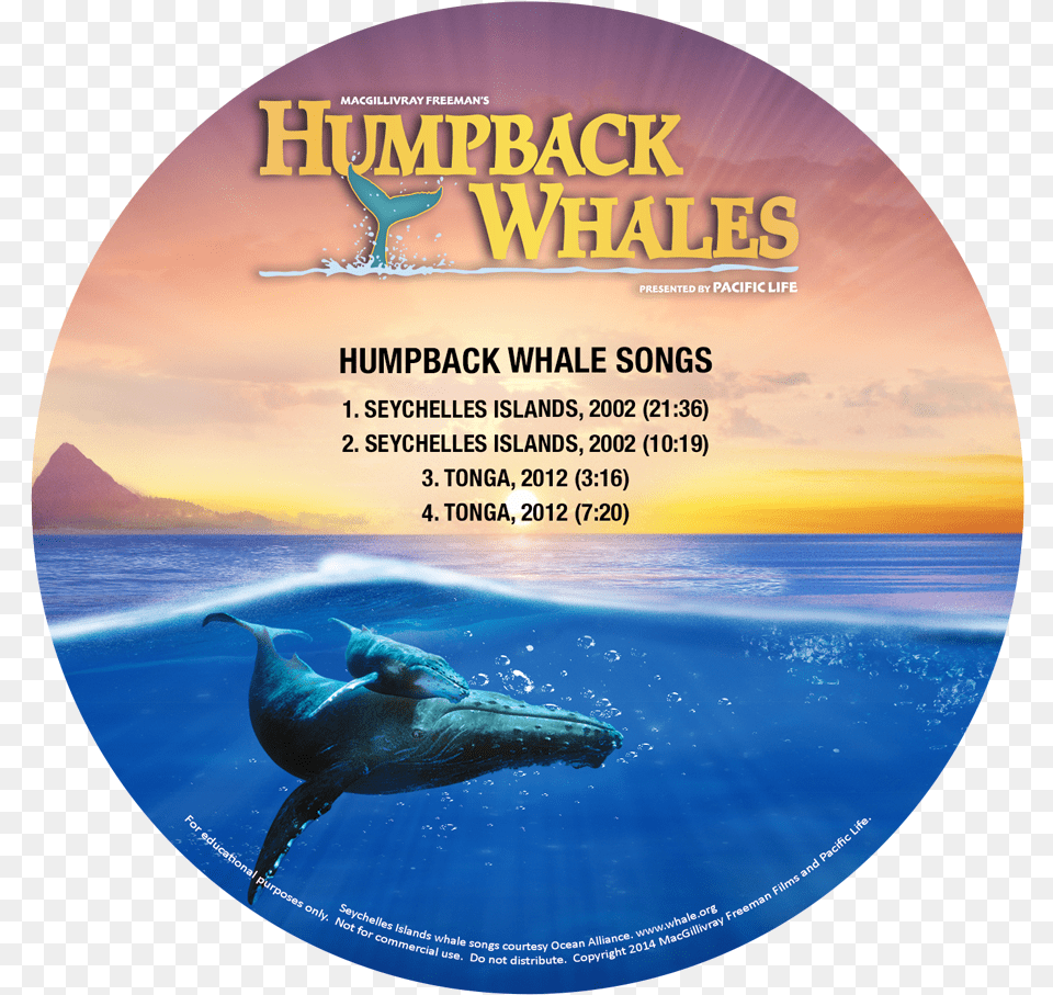 All Whale Songs Label, Disk, Dvd Free Png Download
