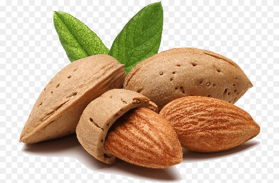 Download Almond File Almond, Bread, Food, Grain, Produce Png Image