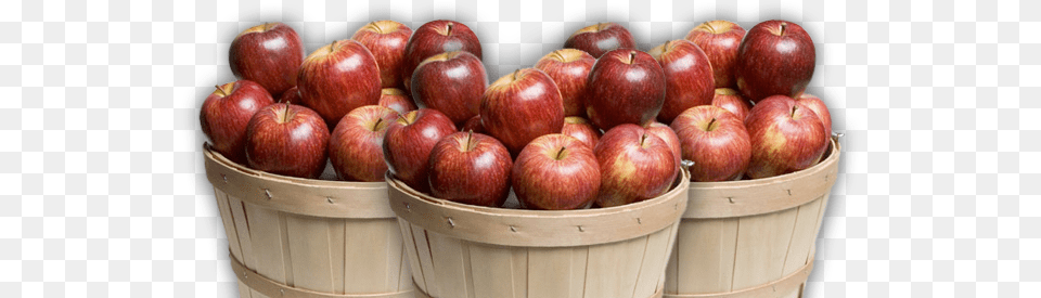 Download Altamont Orchards Apples In A Basket Apples In A Basket, Apple, Food, Fruit, Plant Free Transparent Png