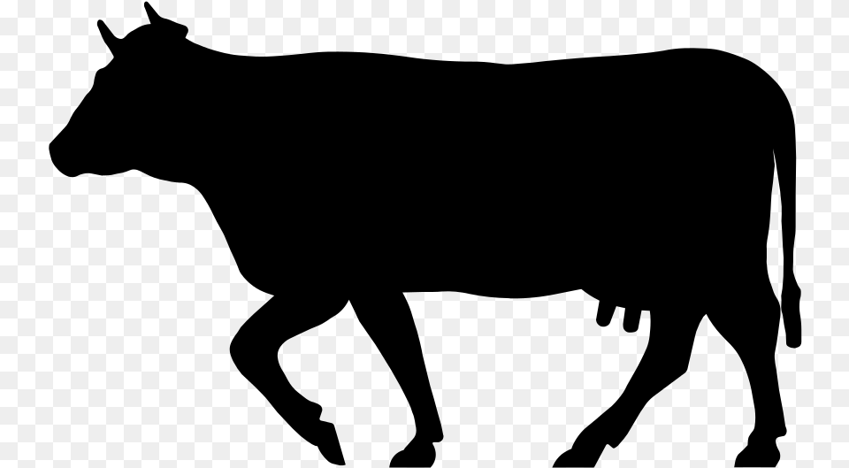 Download Amazing High Quality Latest Images Cow Silhouette, Gray Free Png