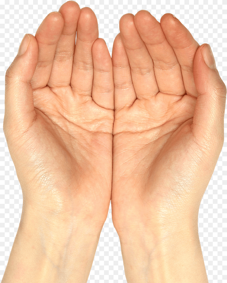 Download Amazing High Quality Latest Transparent Hands, Wrist, Body Part, Hand, Person Free Png