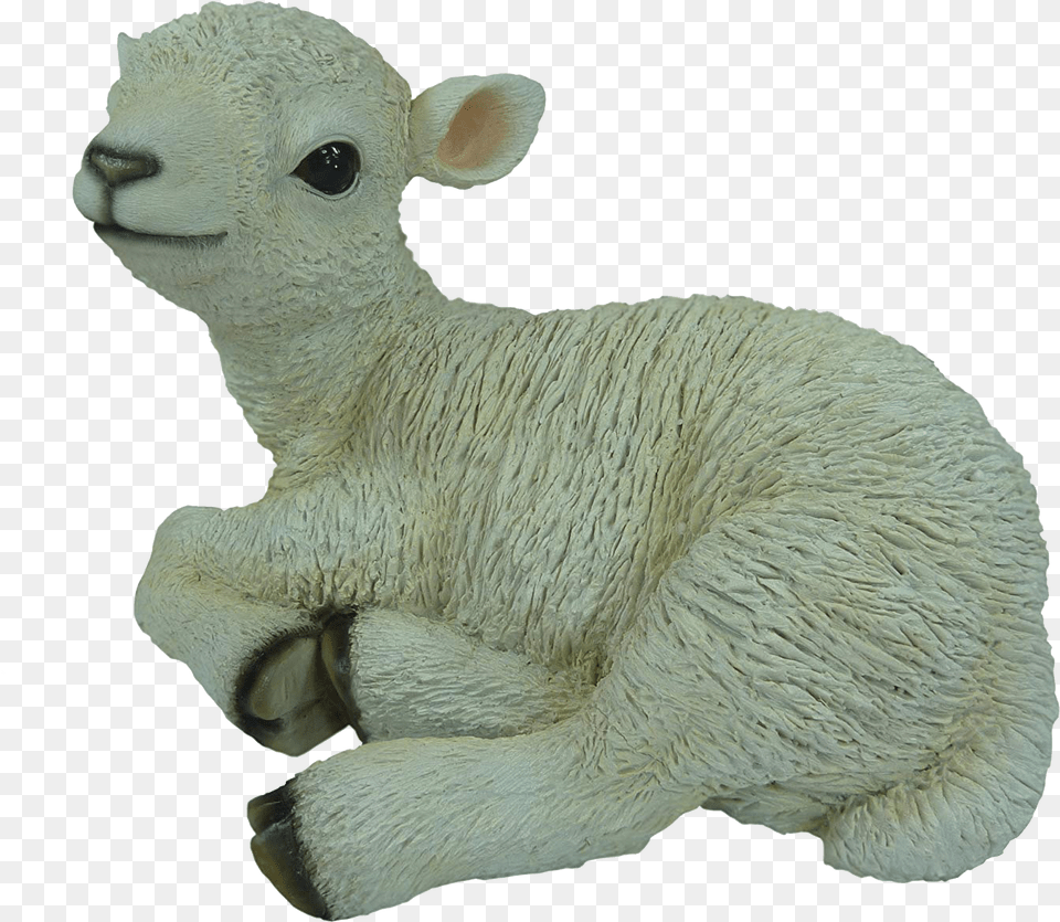 Download Amazing High Quality Latest Transparent Vivid Arts Size D Medium Real Life Sitting Lamb, Animal, Livestock, Mammal, Sheep Png Image