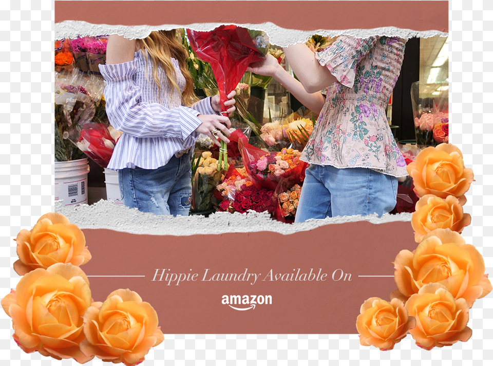 Download Amazon Music Hd Amazon Music, Rose, Plant, Flower, Flower Arrangement Png