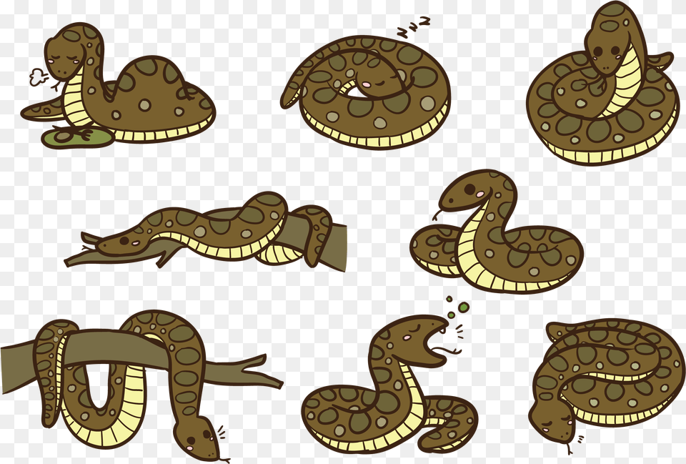 Download Anaconda Cartoon Vector Rattlesnake, Animal, Reptile, Snake Free Transparent Png