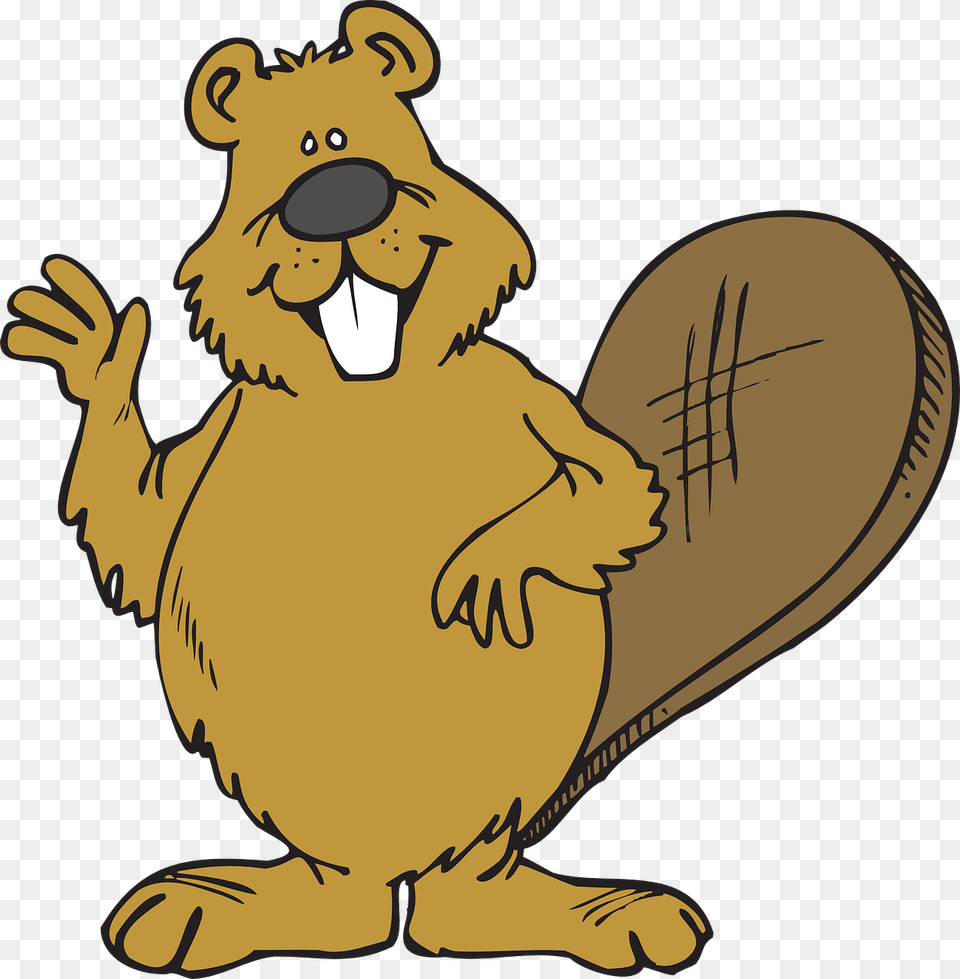 Download And Use Beaver Image Clipart Beaver, Animal, Mammal, Baby, Person Free Png