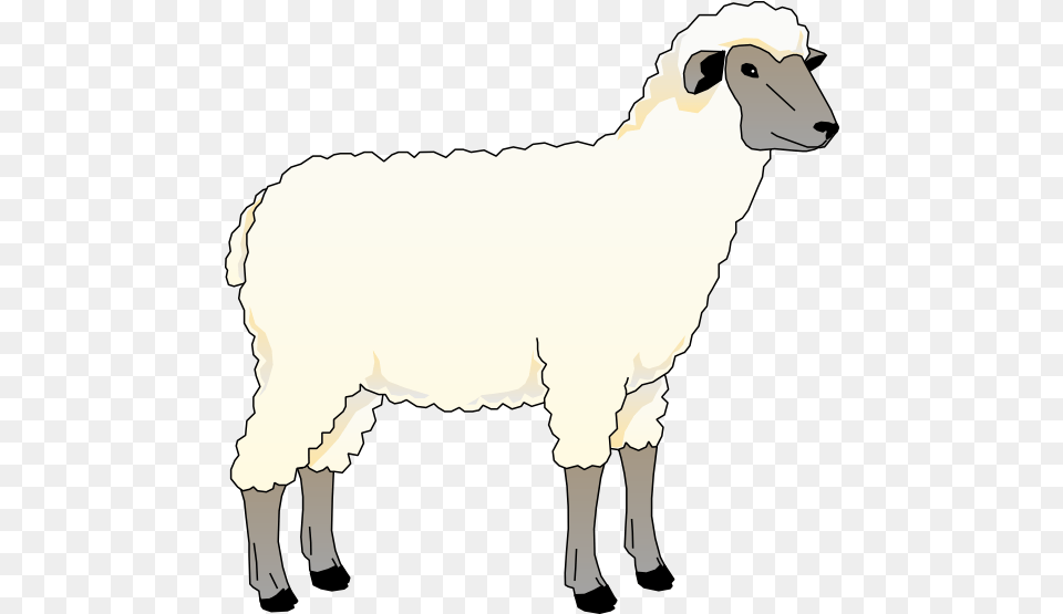 Download And Use Sheep Clipart Animated Picture Of Sheep, Animal, Livestock, Mammal Free Png