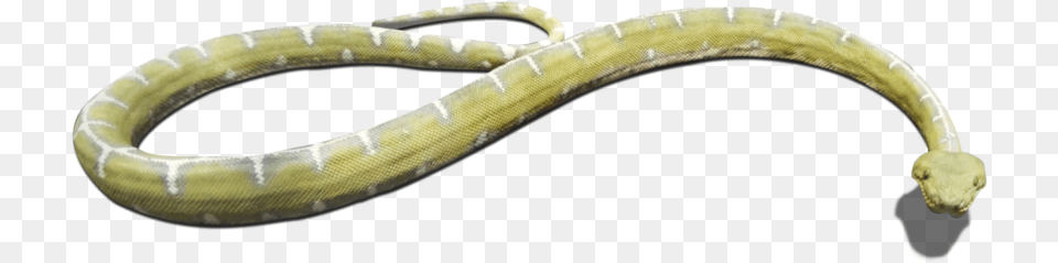 Download And Use Snake Clipart Grass Snake, Animal, Reptile Png