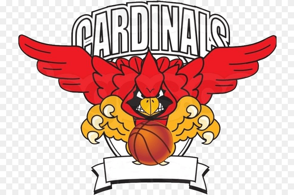 Download Andrew Cardinals Youth Basketball League Carlos F Cardinal Cartoon, Animal, Bee, Insect, Invertebrate Free Png