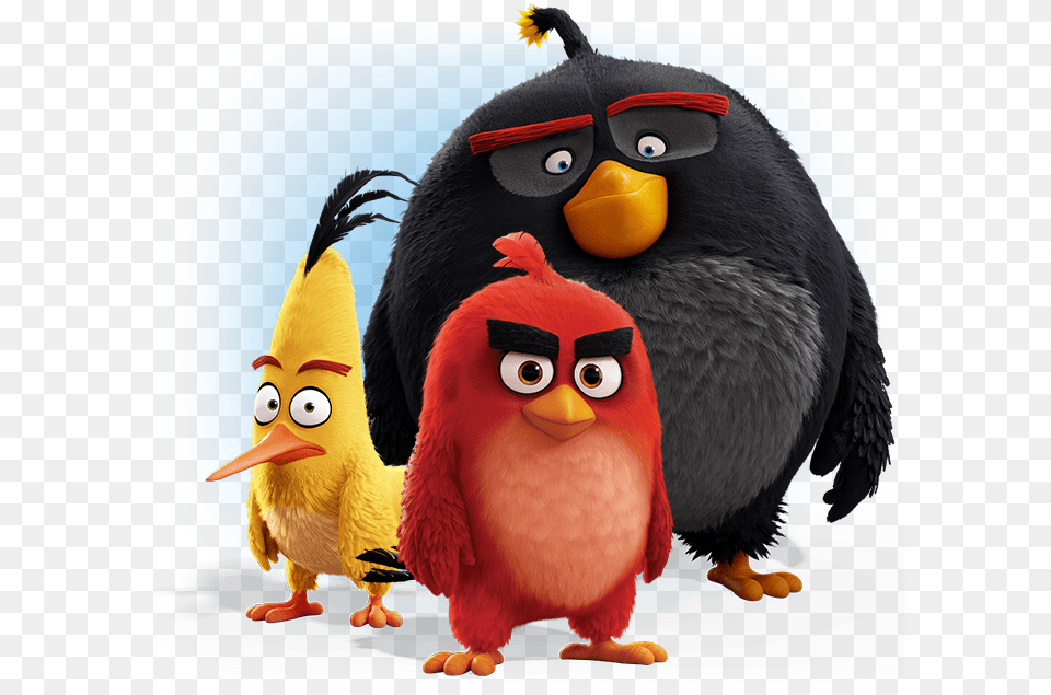 Download Angry Birds For Free Angry Birds Movie Bomb, Animal, Bird, Beak Png Image