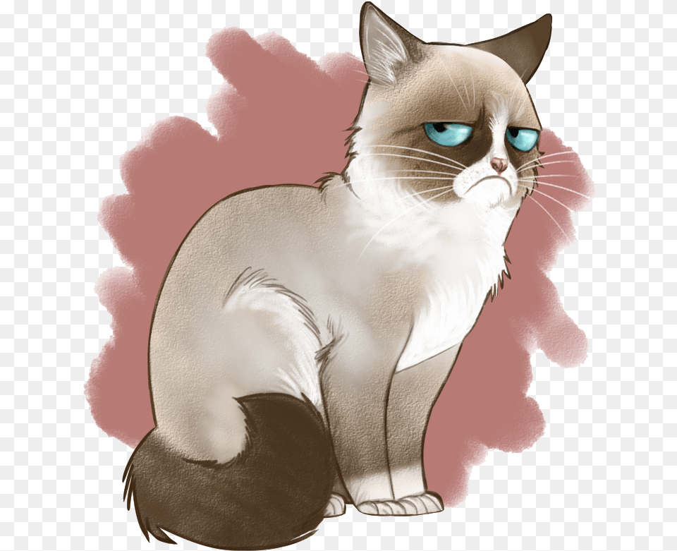 Download Angry Cat Image Background Drawings Of Grumpy Cat, Animal, Mammal, Pet Png