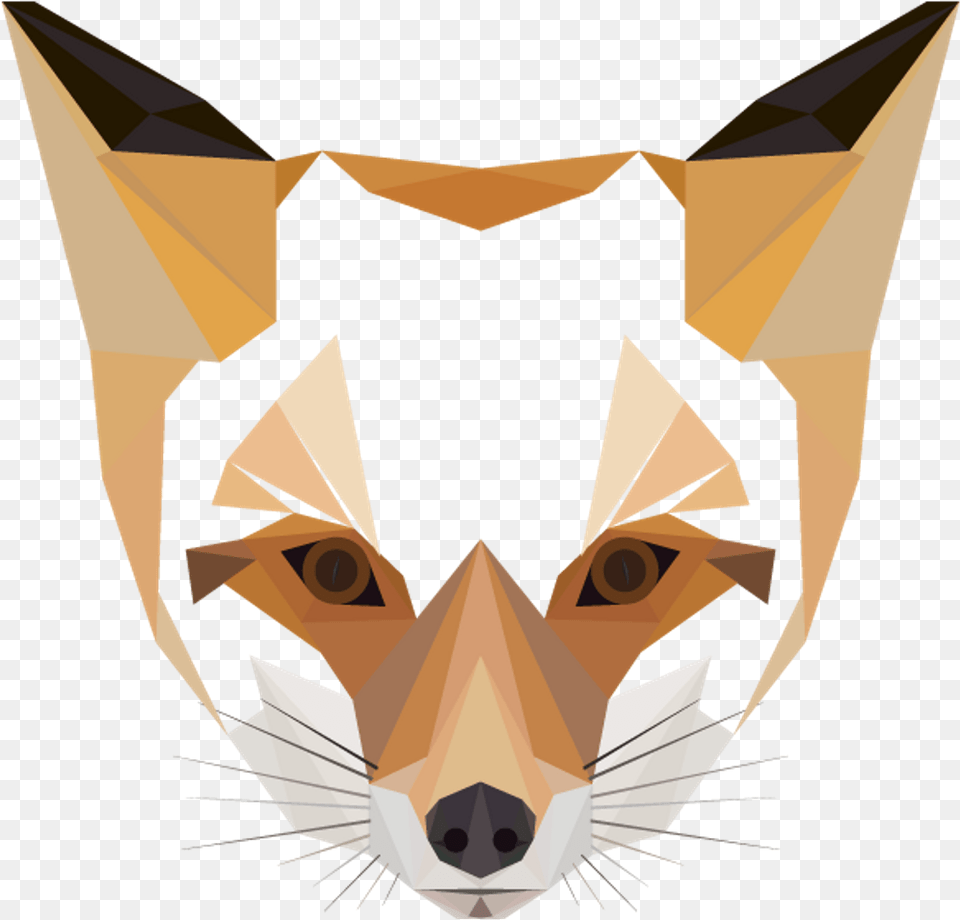 Download Animal Animals Fox Head Art Fox Head Transparent, Person, Canine, Kit Fox, Mammal Png