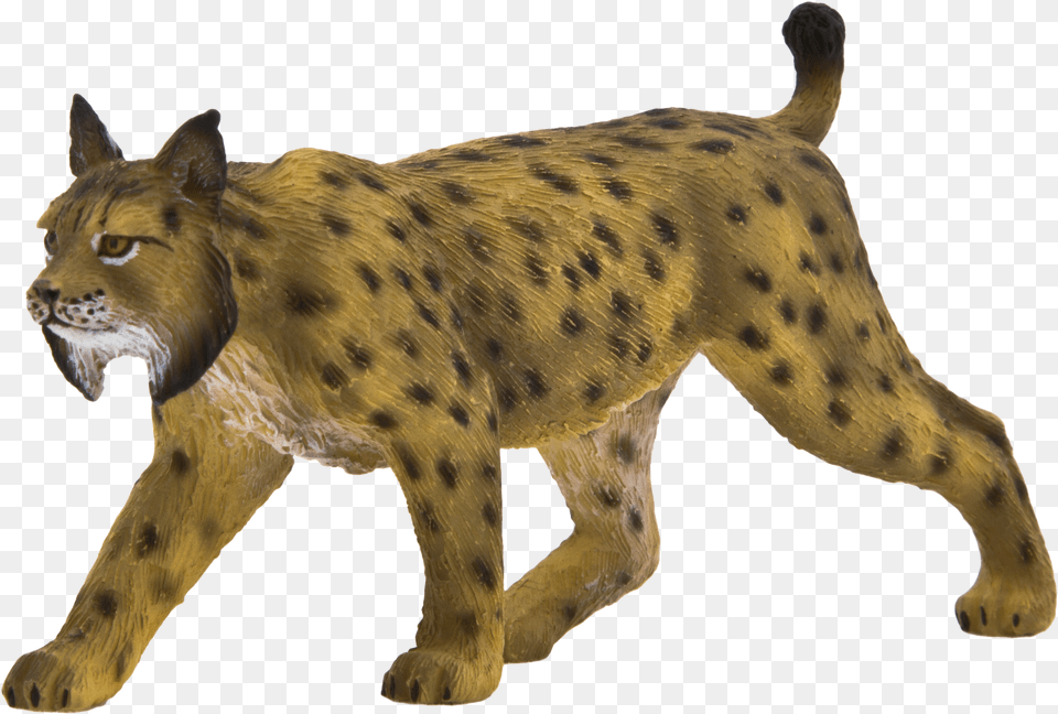 Download Animal Planet Iberian Lynx With No Iberian Lynx, Wildlife, Mammal, Panther Png Image
