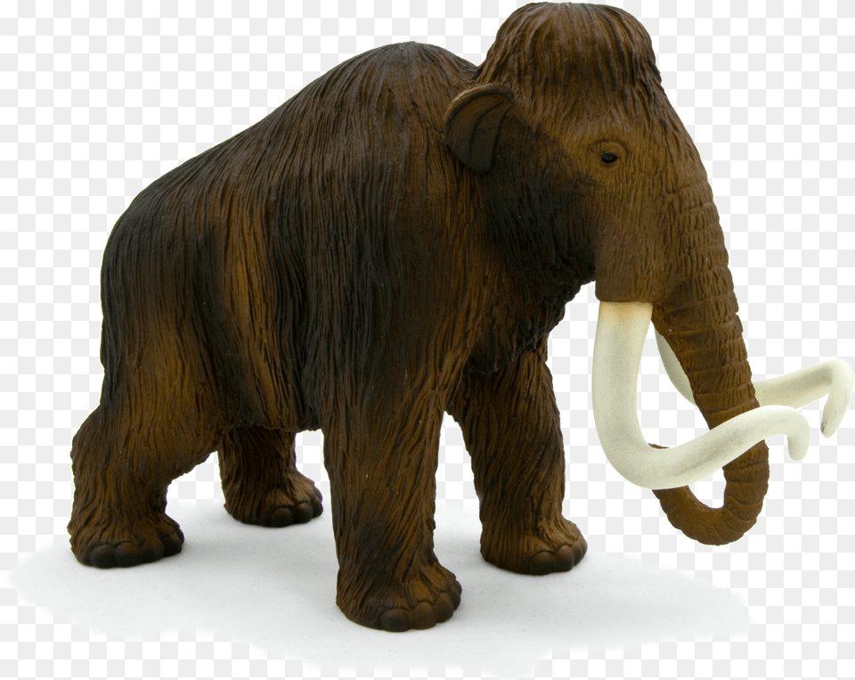 Download Animal Planet Wooly Mammoth Full Size Mojo Woolly Mammoth Free Png