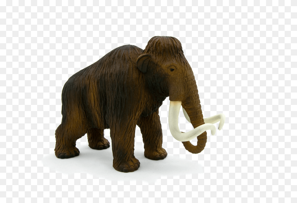 Animal Planet Wooly Mammoth Image With No Woolly Mammoth Background Free Png Download