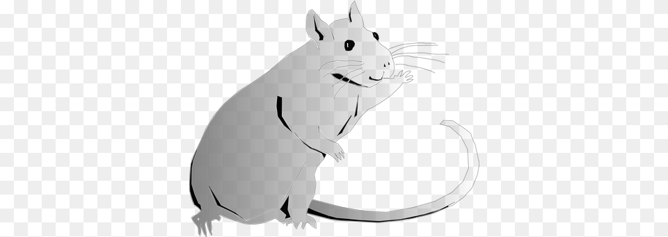 Download Animal Rat Rodent Clip Art Clip Art, Baby, Person, Mammal, Face Free Transparent Png