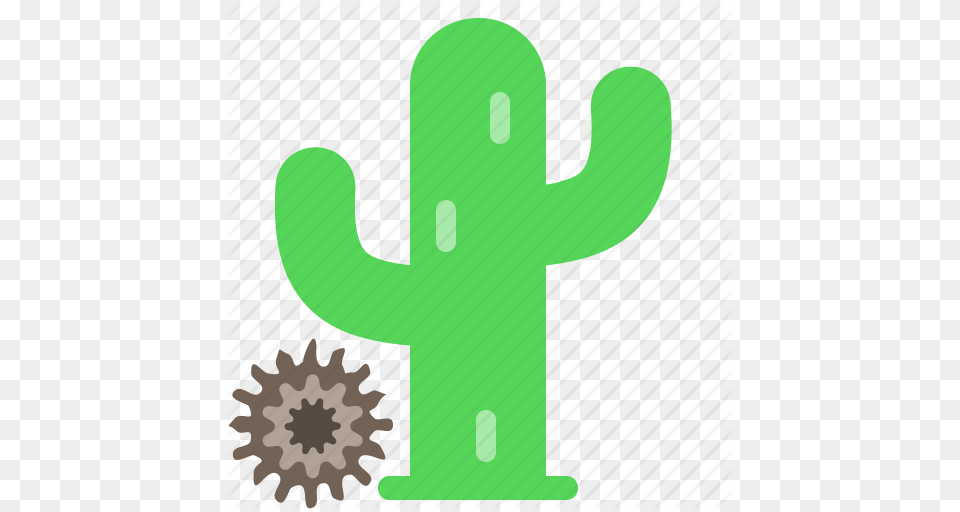 Download Animated Cactus Clipart Animated Film Clip, Plant Free Transparent Png