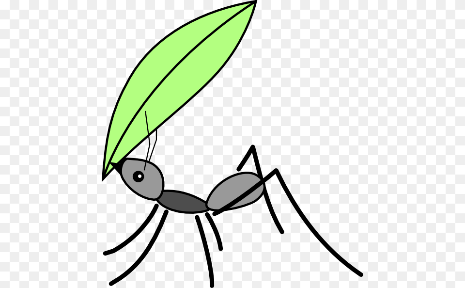 Download Ant Cartoon Leaf Clipart Insect Myrmicinae Clip Art, Animal, Invertebrate, Fish, Sea Life Png