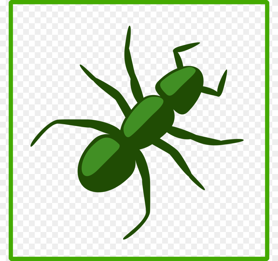 Download Ant Clip Art Clipart Ant Clip Art Drawing Graphics, Animal, Insect, Invertebrate Free Png