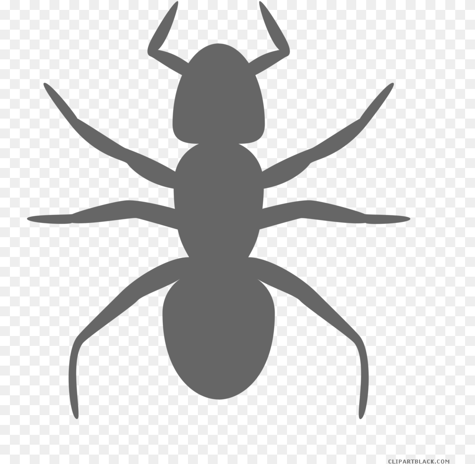 Download Ant Clipart Black And White Silhouette Ant Clip Art, Animal, Insect, Invertebrate, Fish Png