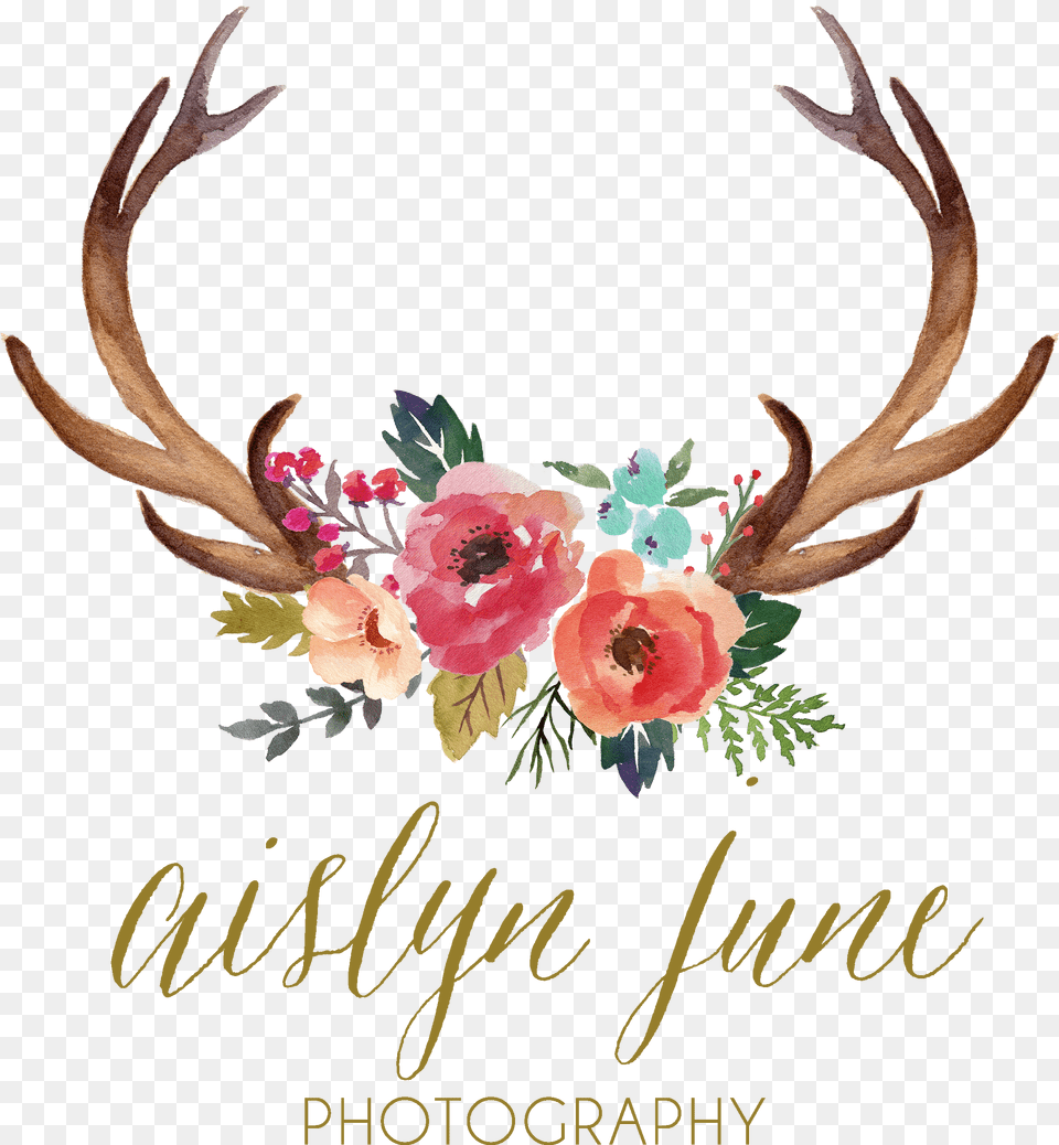 Antler Watercolor Painting Clip Deer Antlers And Antlers With Flowers Svg, Rose, Flower, Plant, Art Free Png Download