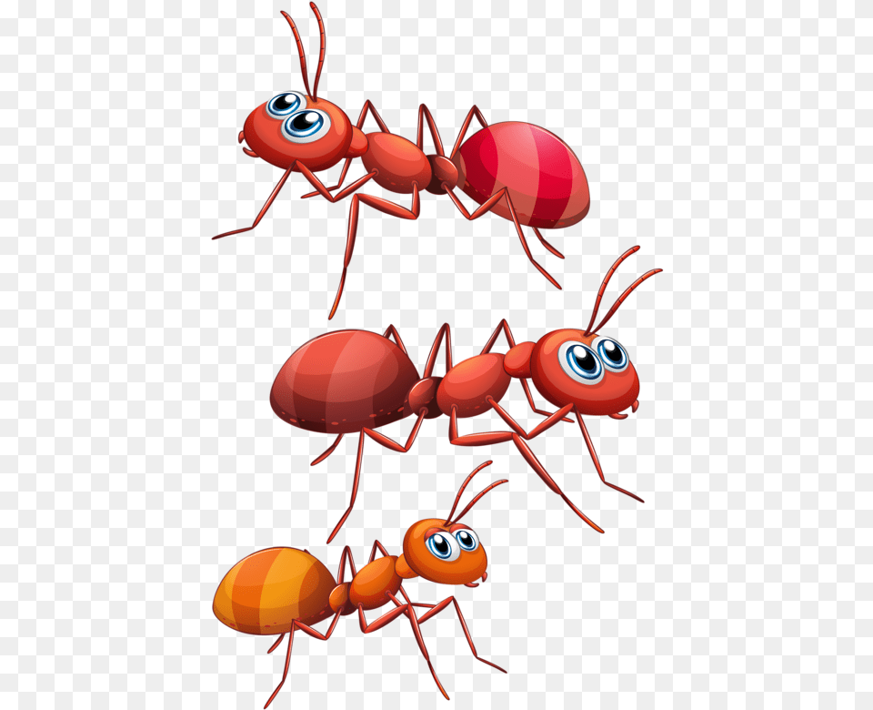 Download Ants Cartoon, Animal, Ant, Insect, Invertebrate Free Transparent Png