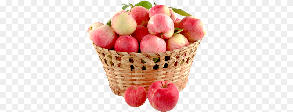 Download Apple Fruit Transparent Image And Clipart Basket Of Apples Transparent Background, Food, Plant, Produce, Peach Png