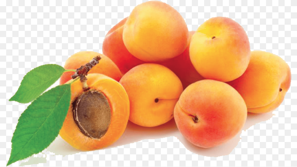 Apricot Photos 035 Apricot, Food, Fruit, Plant, Produce Free Png Download