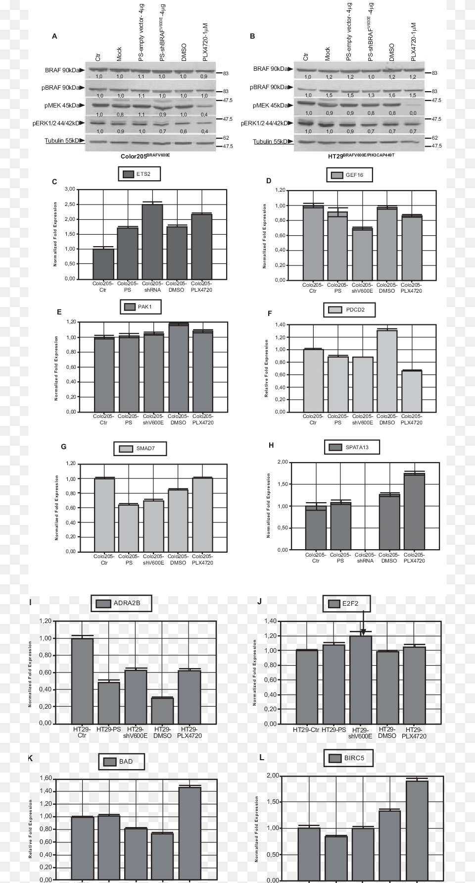 Architecture, Cad Diagram, Diagram, Scoreboard Free Png Download