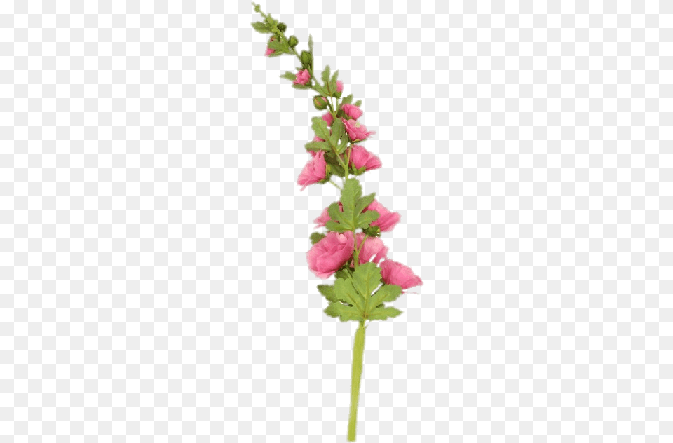 Download Artificial Flower, Petal, Plant, Grass Free Transparent Png