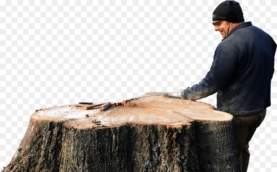 Download Arts And Crafts Tree Stump, Tree Stump, Plant, Person, Man Png