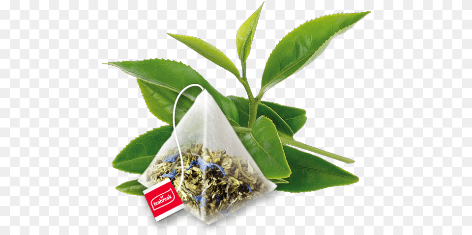 Download As The Pyramids Have Ample Space Inside Them And Pyramid Tea Bags Vector, Beverage, Herbal, Herbs, Plant Free Transparent Png
