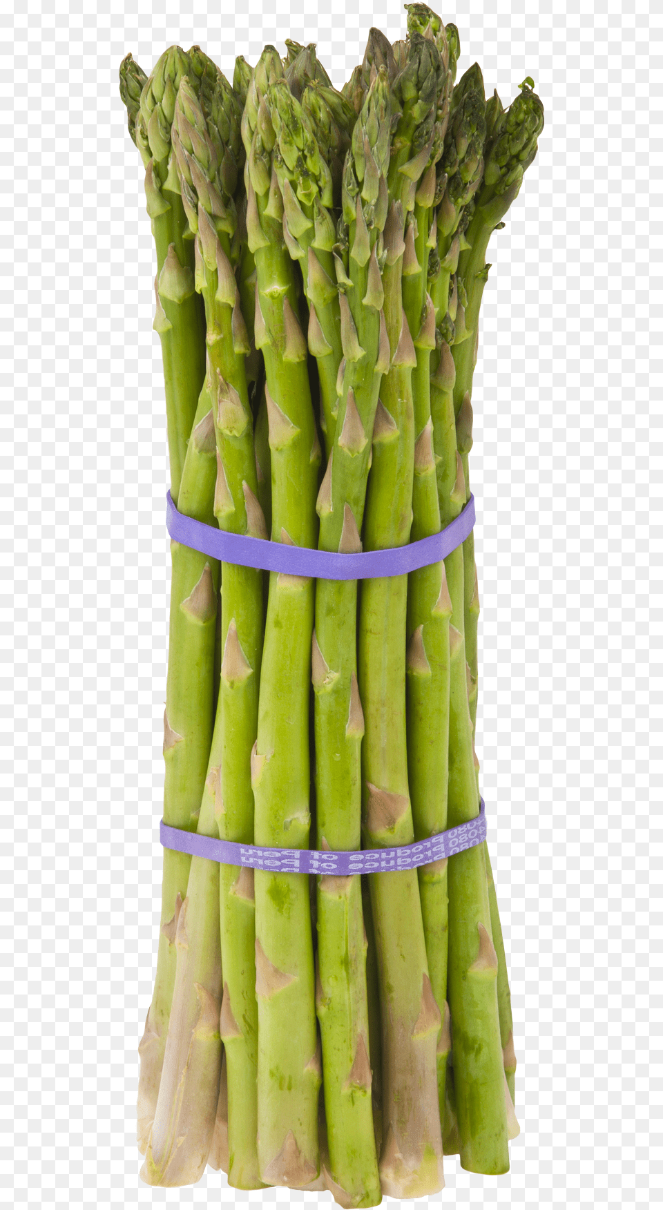 Download Asparagus For Free Asparagus Meaning In Bengali, Food, Plant, Produce, Vegetable Png