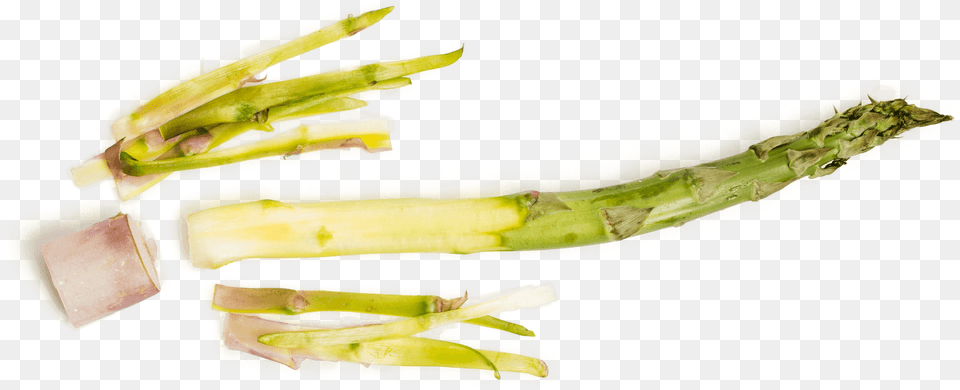 Download Asparagus Hd Asparagus, Blade, Cooking, Knife, Sliced Free Transparent Png