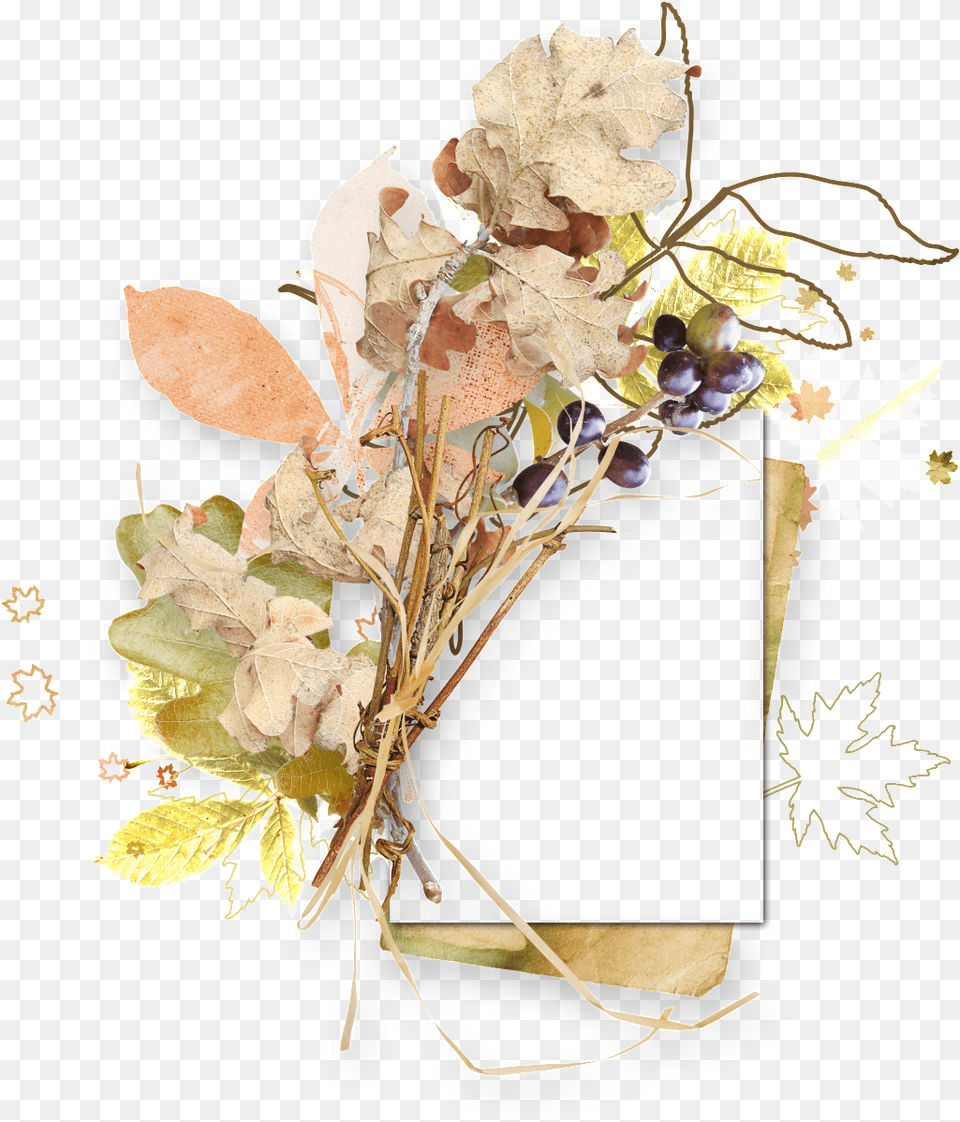 Download Autumn Leaf Border Bouquet With No Dibujo De Flores Antiguas En, Plant, Flower, Flower Arrangement, Flower Bouquet Png Image