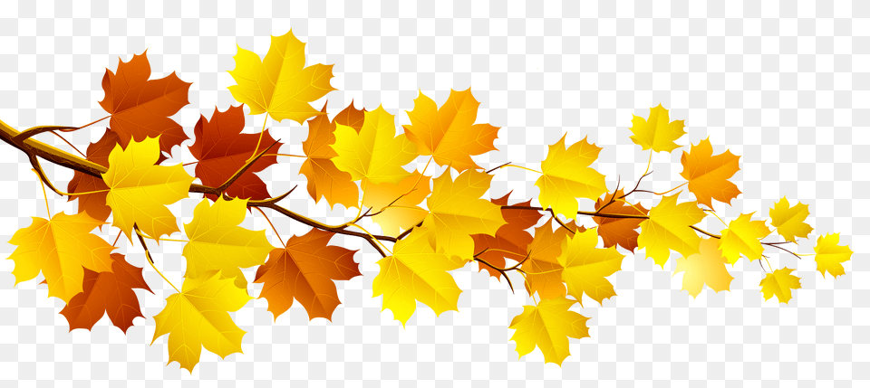Download Autumn Leaves Clipart Full Size Pngkit Fall Leaves Clip Art, Leaf, Plant, Tree, Maple Free Png