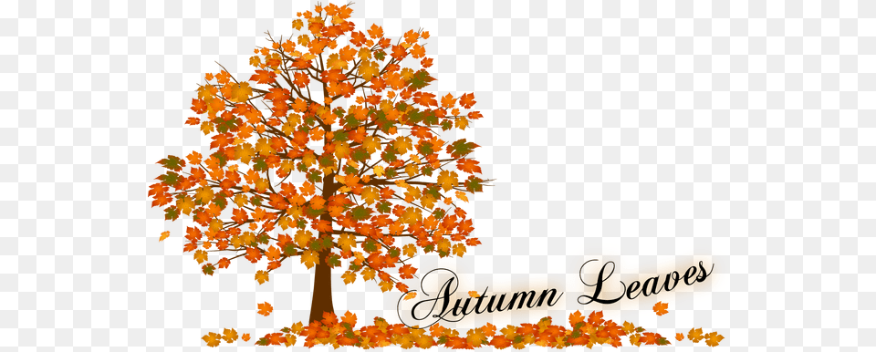 Download Autumn Tree Clip Art Fall Tree Leaves Full Clipart Tree Autumn Leaves, Plant, Pollen, Flower Free Png
