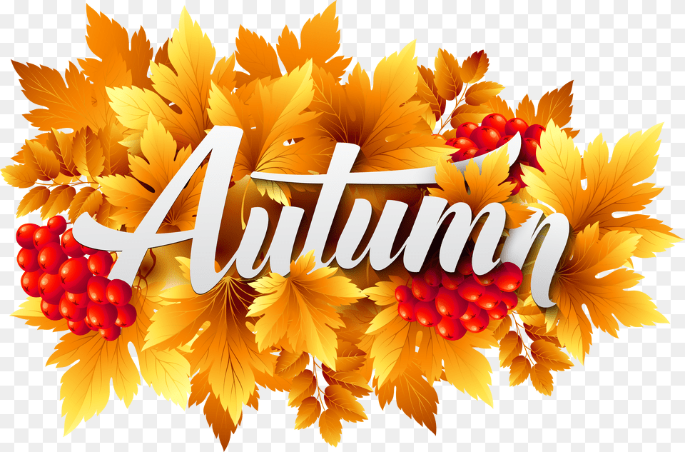 Download Autumn With No Autumn Free Transparent Png