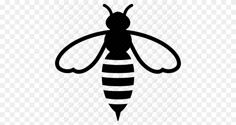 Avispa Para Colorear Clipart Bee Clip Art Bee, Animal, Insect, Invertebrate, Wasp Free Png Download