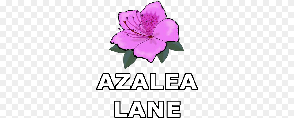 Download Azalea Lane Calendar Coloring Pages, Flower, Petal, Plant, Advertisement Png