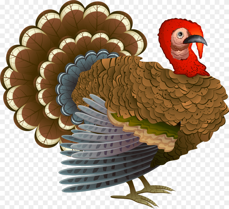 Download Background Toppng Transparent Background Turkey Crosshairs, Animal, Bird Png