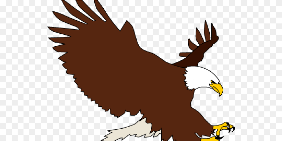 Bald Eagle Clipart Transparent Background Eagle Clipart Transparent Background, Animal, Bird, Baby, Person Free Png Download