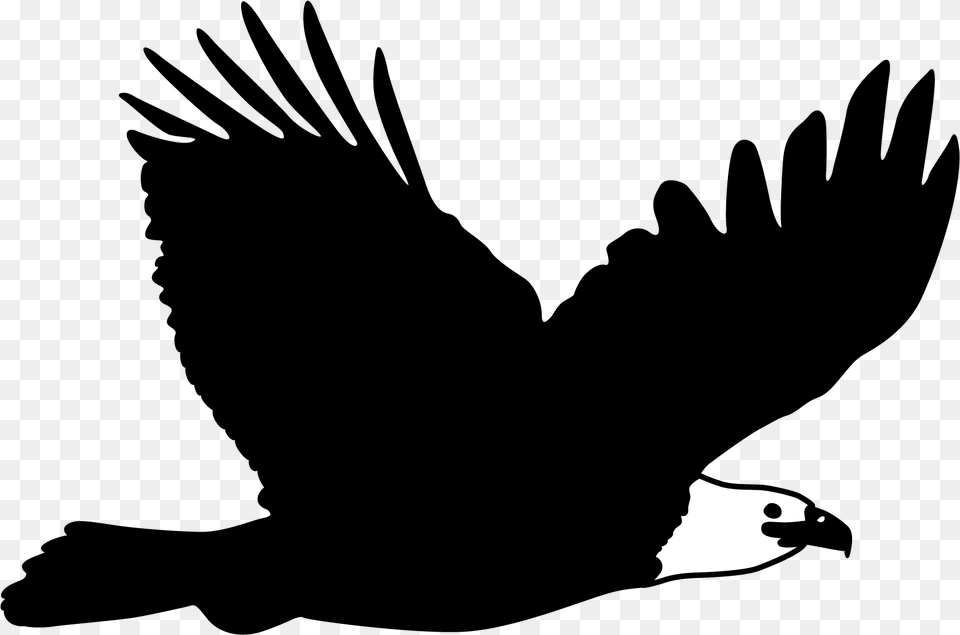 Bald Eagle Flight Bird Bald Eagle, Silhouette, Stencil Free Png Download
