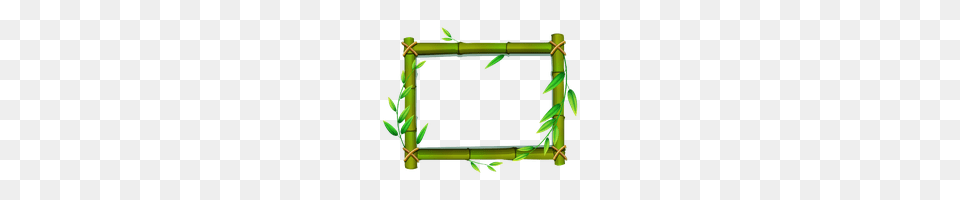 Download Bamboo Photo And Clipart Freepngimg, Plant Free Png
