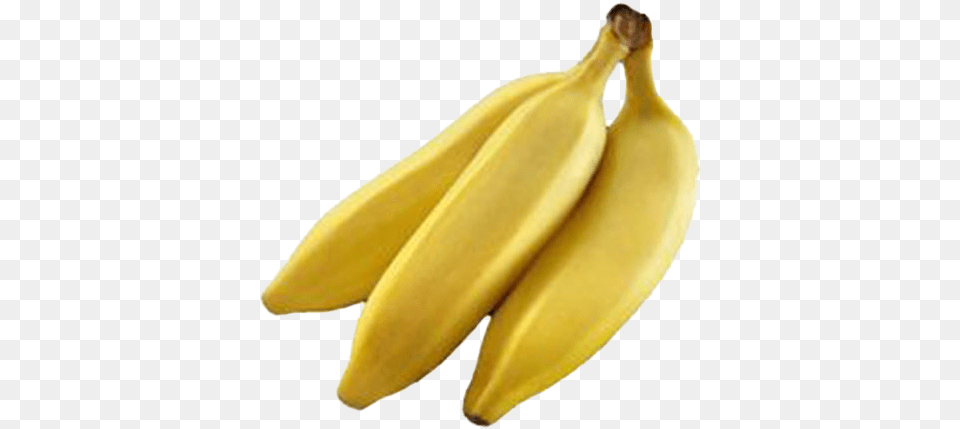 Download Banana Background Lady Finger Banana, Food, Fruit, Plant, Produce Free Png