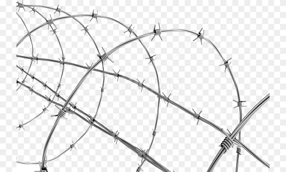 Barbwire Images Background Transparent Background Barbed Wire, Barbed Wire, Bow, Weapon Free Png Download