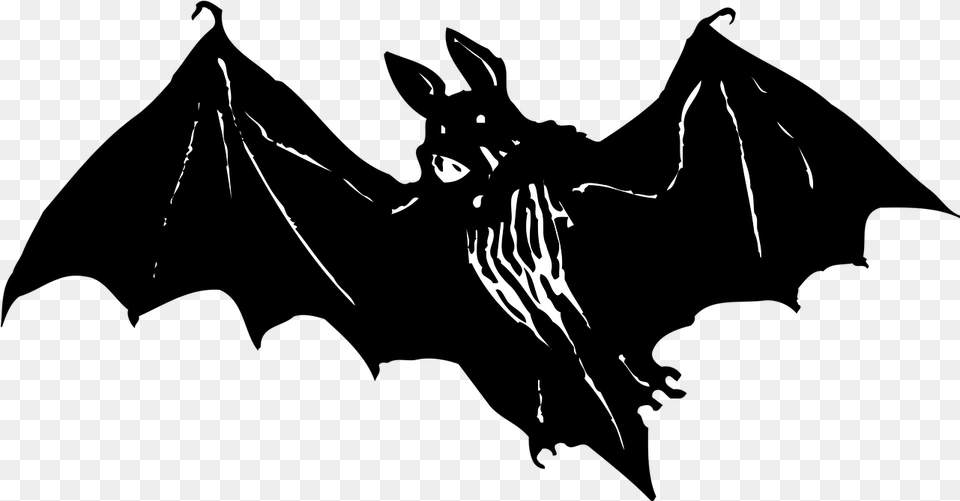 Download Bat Animal Wildlife Halloween Image Scary Bats Vector, Person, Adult, Female, Woman Free Transparent Png