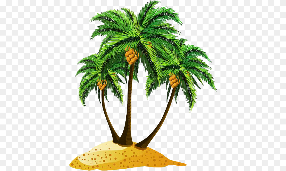 Download Beach Pic Cartoon Date Tree, Palm Tree, Plant Png