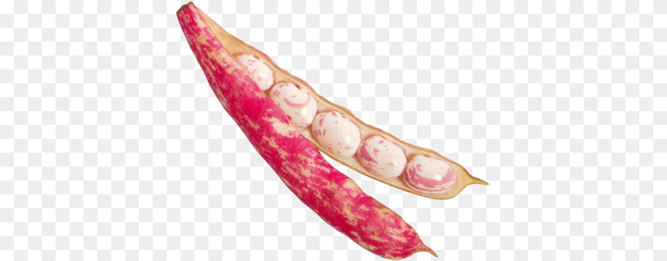 Download Beans Image Bean, Food, Produce, Plant, Vegetable Png